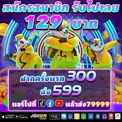 YD555 YD555