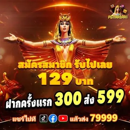 YD555 YD555